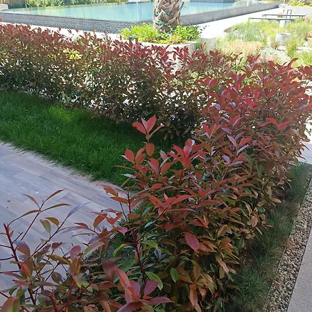 Apartment Cozy Flat азур Saints Constantine and Helena