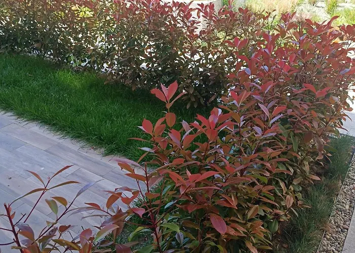 アパート Cozy Flat азур セインツ・コンスタンティン＆ヘレナ